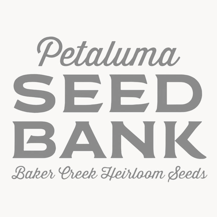 The Seed Bank Logo