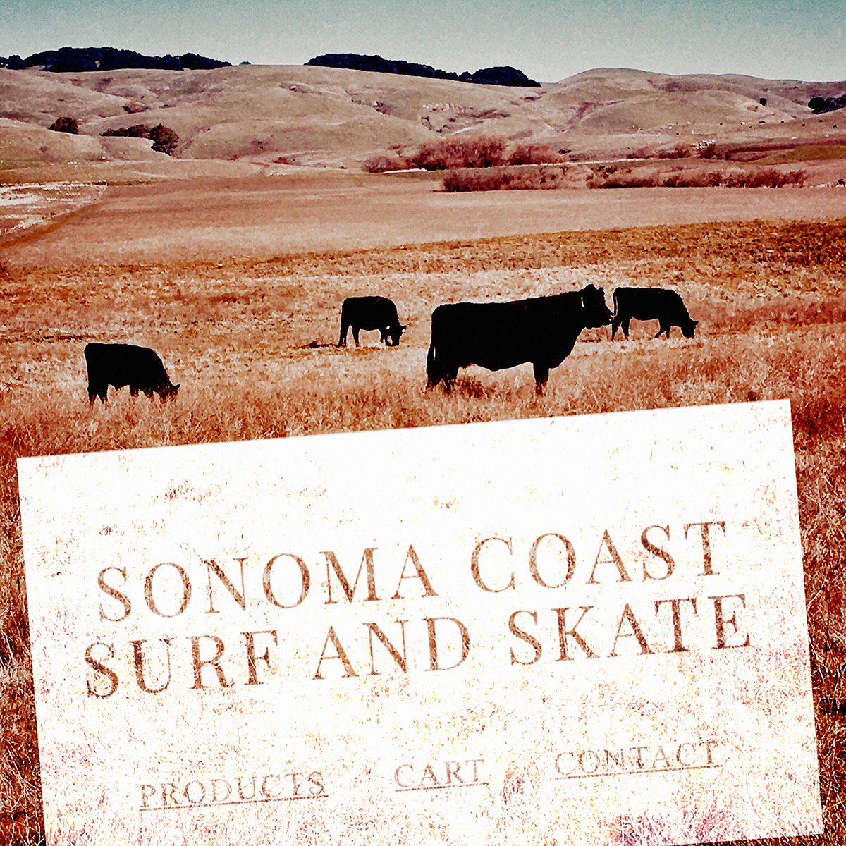 sonoma coast surf shop